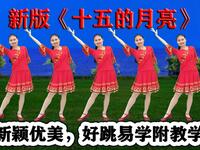 DJ广场舞《十五的月亮》歌甜舞优美好跳易学