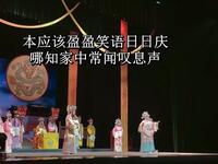 淮剧《牙痕记》选段《金殿认子》江苏省淮剧