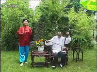 河南坠子《拳打镇关西》