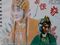 淮剧《洞房惊奇》中集