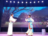 闽剧《龙凤呈祥》第五场 长乐民俗神诞演戏