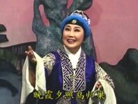 扬剧《魏大蒜》
