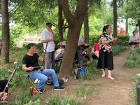 皖江庐剧《乌江渡苏月英诉冤情》选段