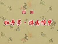 昆曲《牡丹亭 游园惊梦》梅兰芳（杨春霞） 俞振