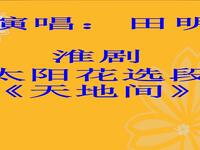 淮剧《太阳花》选段《天地间声声呼唤儿英魂》下载