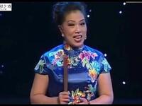 河南坠子《夜明珠传奇》