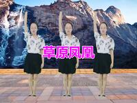广场舞入门《草原凤凰》歌美舞美时尚简单易