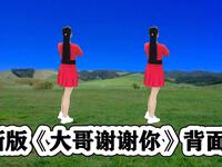 DJ广场舞《大哥谢谢你》火爆流行版