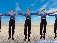 中老年《有氧运动健身操》促进新陈代谢提高免疫力下载