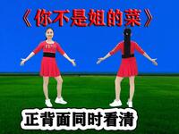 广场舞《你不是姐的菜》DJ流行舞