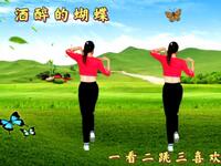 中老年健身操《酒醉的蝴蝶》疏通经络燃脂又瘦身下载