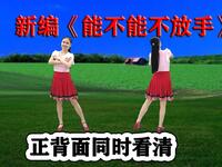 DJ广场舞《能不能不放手》