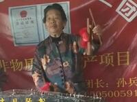 丰县琴书《芈建游宫》老艺人演唱