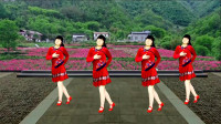 广场舞《山丹红花开》简单又好看