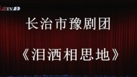 豫剧《泪洒相思地》上集