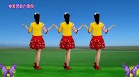 广场舞《花蝴蝶》零基础步伐跟着就会跳