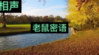 老鼠密语