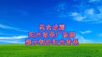 大众入门广场舞《思念成霜》零基础步伐老少