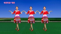 彝族小调广场舞《我的阿惹》零基础24步附分