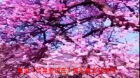 飞跃广场舞《如果爱还在》
