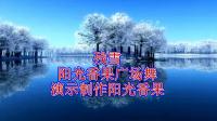 DJ广场舞《殇雪》伤感情歌好听醉了
