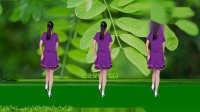 心醉DJ广场舞《你为何说了不算》演示分解