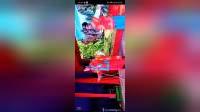 湖南花鼓戏《王文虎卖柴》第2集下载