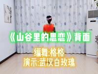 广场舞《山谷里的思念》背面完整版
