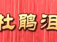 莆仙戏《杜鹃泪》全剧 二团演出下载