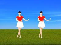 广场舞《谁家的姑娘》DJ何鹏版