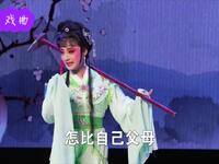 曲剧《红楼梦》黛玉葬花经典片段