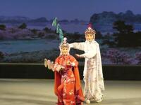 湖北花鼓戏《佘太君抗婚》全本下载