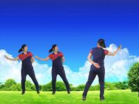 伤感广场舞《下定决心忘记你》64步节奏动感