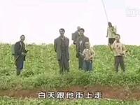 云南大型山歌剧《花心婆娘爱帅哥》全剧完整