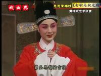 黄梅戏折子戏《女驸马状元府》下载