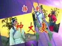 扬剧《种大麦》下载
