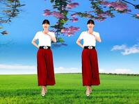 DJ情歌广场舞《想你想到心里来》旋律动感欢
