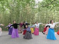 广场舞《心之寻》景美舞美人更美
