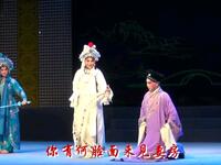 豫剧《白蛇传》选段 断桥 河南豫剧院青年团