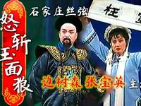 石家庄丝弦《怒斩玉面狼》早年舞台静场版下载