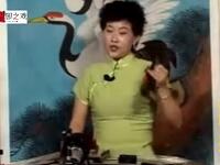 传统琴书《白海棠割肝孝母》