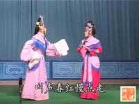 河北梆子《茶瓶计窥婿》选段