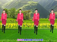 广场舞《红尘蝶恋》