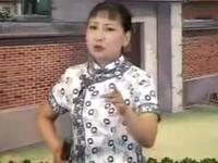 河南坠子《大姑娘妨女婿》全集