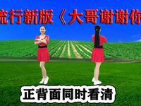 DJ流行广场舞《大哥谢谢你》越跳越欢喜