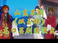 山东吕剧《双玉蝉》龙口吕剧团演出