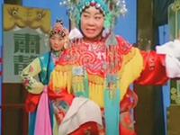 豫剧《七品芝麻官》下载