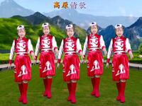 广场舞《高原情歌》藏族舞简单好看附教学