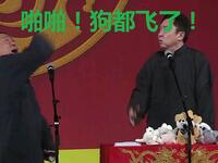 啪啪连人带狗都懵了