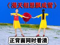DJ广场舞《漫天相思飘成雪》